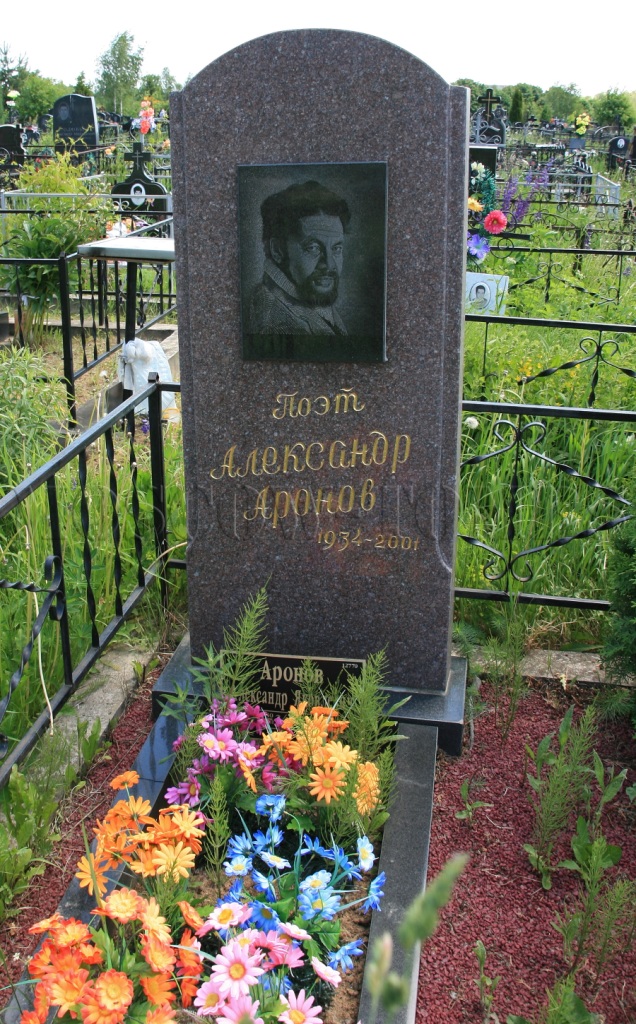 Могила Аронова Александра.