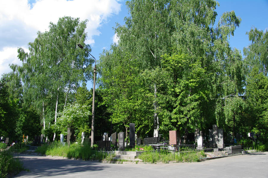 Городское кладбище (Берковцы).