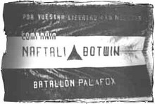 Знамя роты имени Нафтали Ботвина.