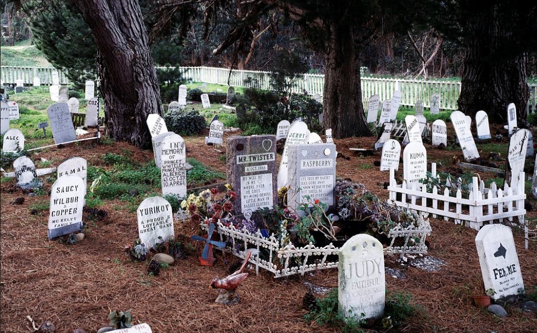 Еврейское кладбище, Сан-Франциско, США.