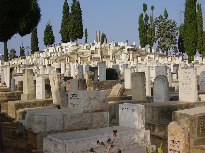 Еврейское кладбище, где похоронен Виленский Вольф.