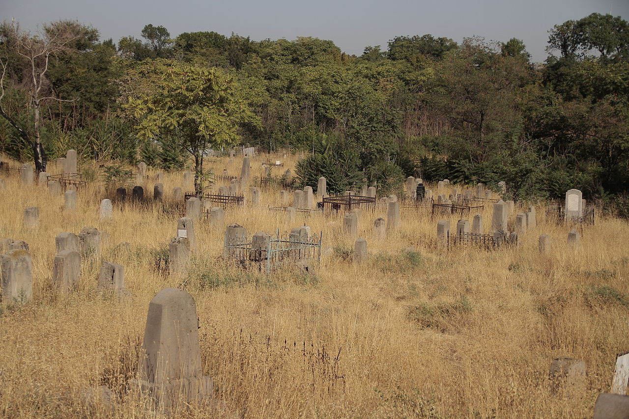 Боткинское еврейское кладбище.