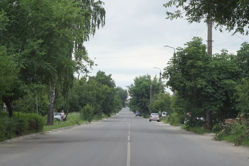 Старое еврейское кладбище.