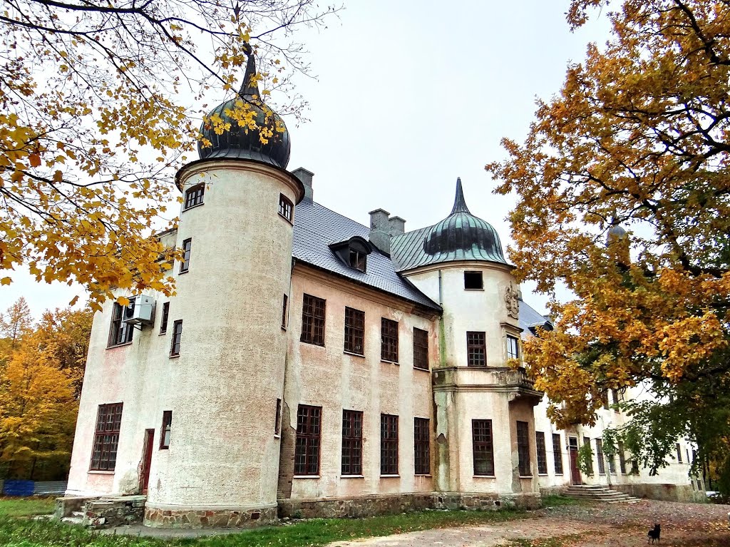 Охотничий замок графа Шувалова.
