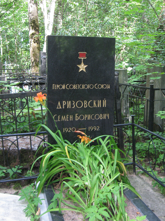 Могила Дризовского Семёна.