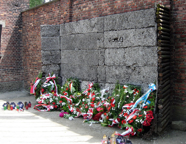 Стена казни Аушвиц1 (Освенцим).