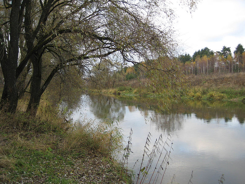 Река Истра вблизи Красновидова.