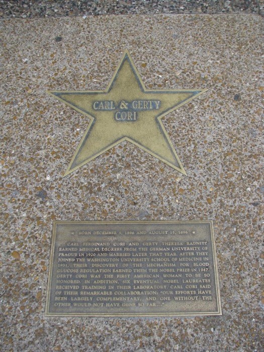 Звезда и мемориальная доска, посвящённые Карлу и Герти Терезе Кори.