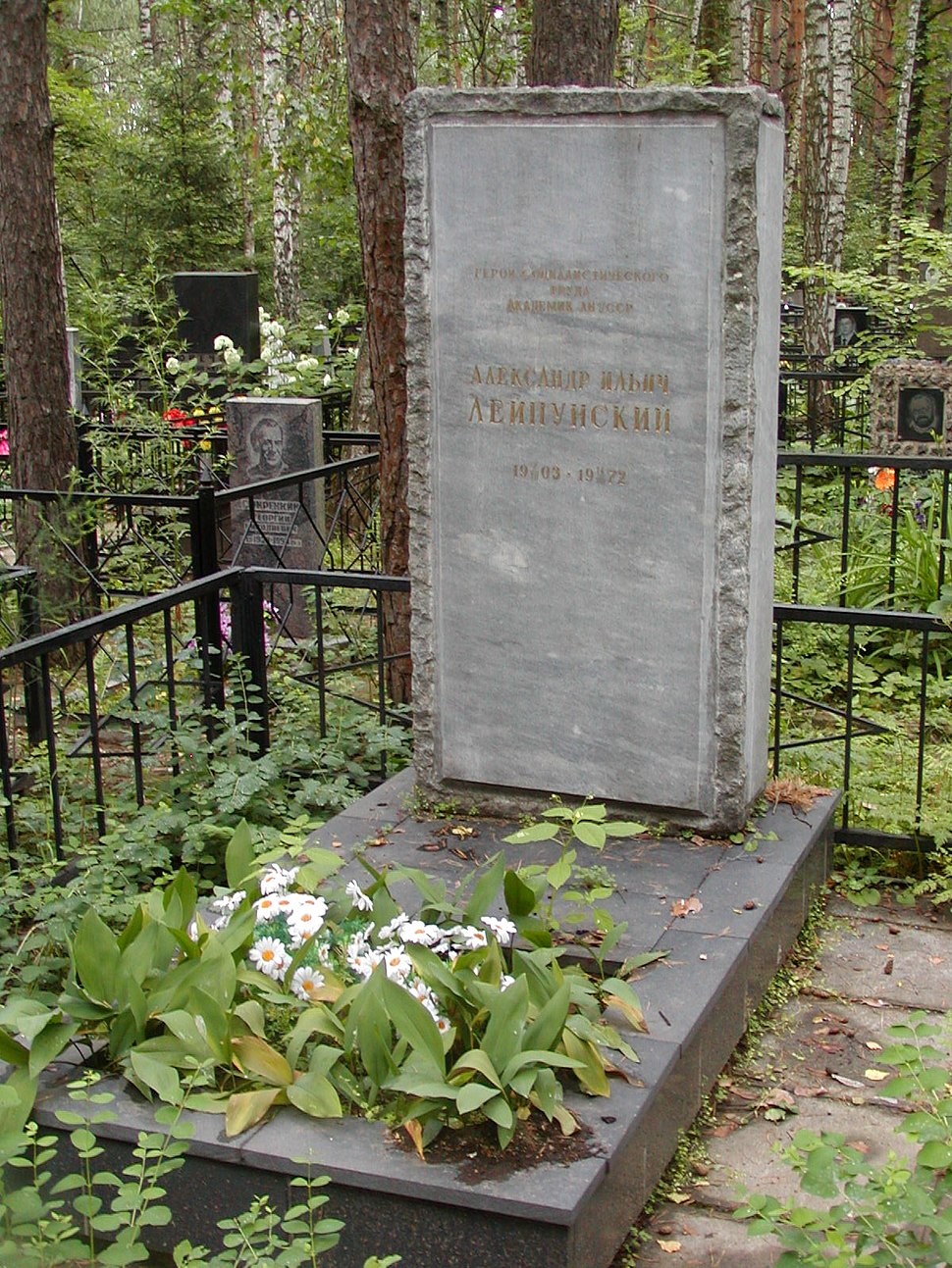 Могила Лейпунского Александра.