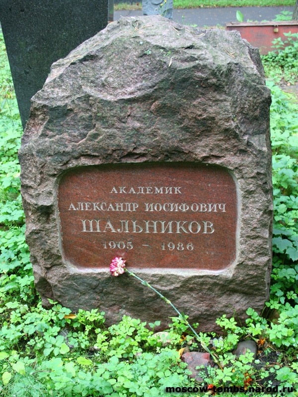 Могила Шальникова Александра.
