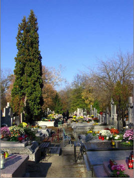 Еврейское кладбище на Брудно, Варшава, Польша.