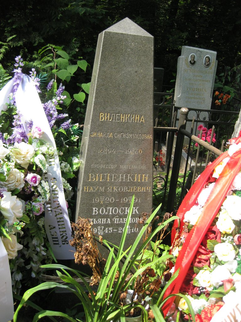 Могила Виленкина Наума.