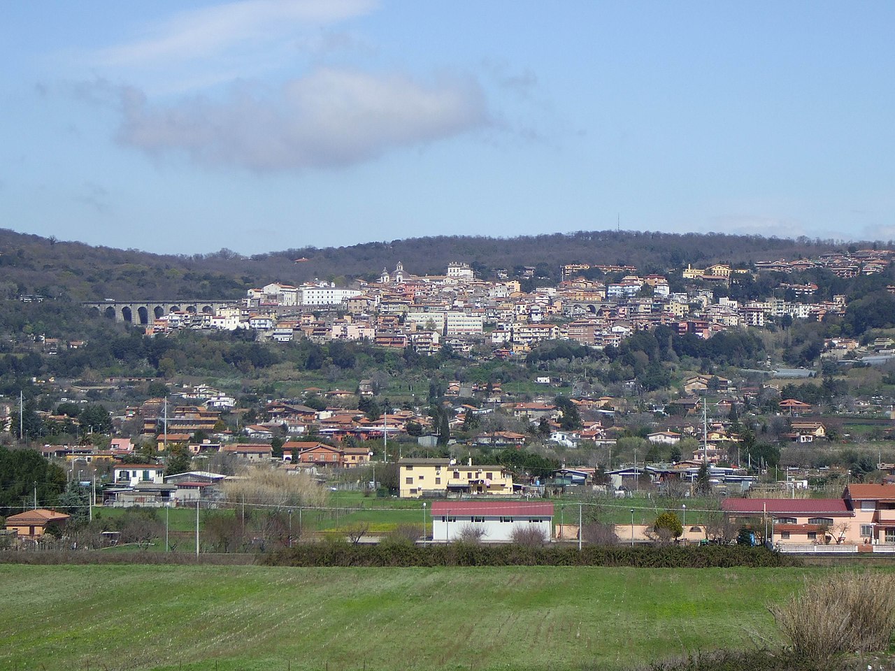 Аричча — город в Италии, где похоронен Вольтерра Вито.