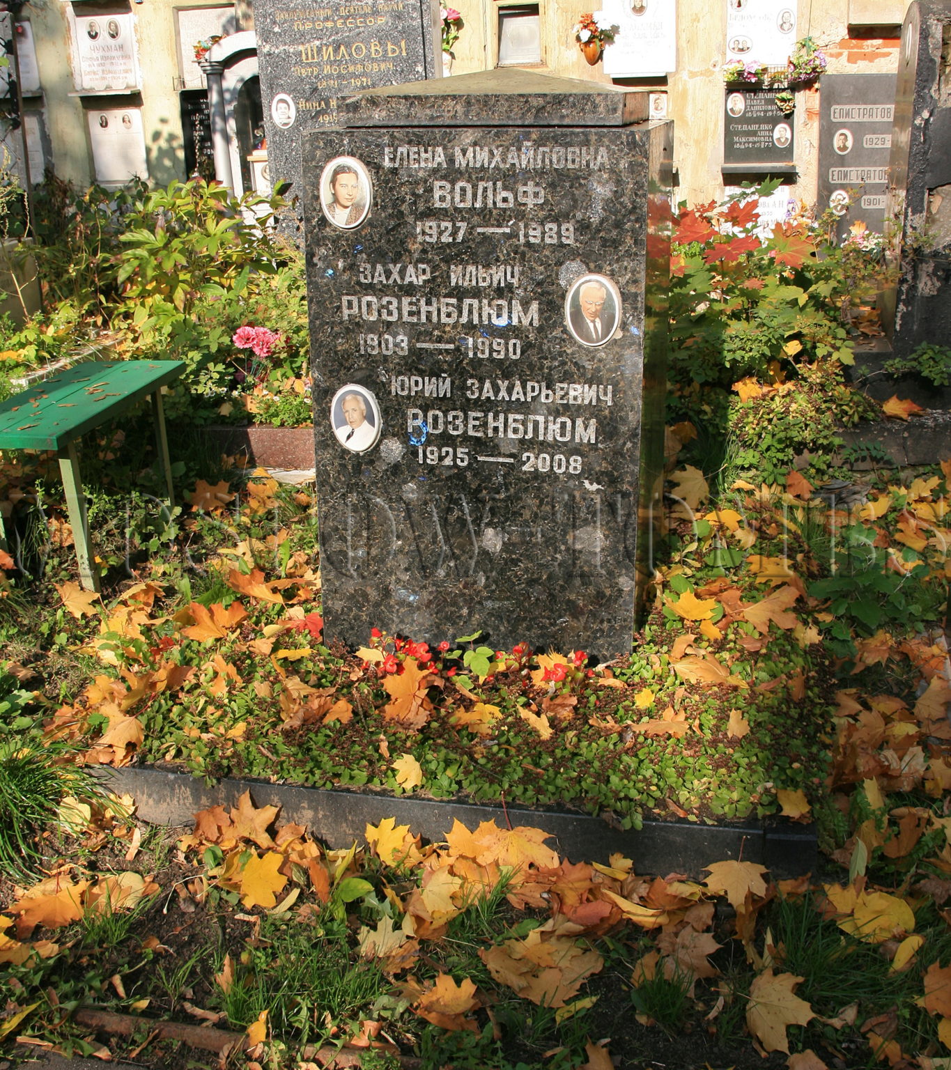 Могила Вольф Елены.
